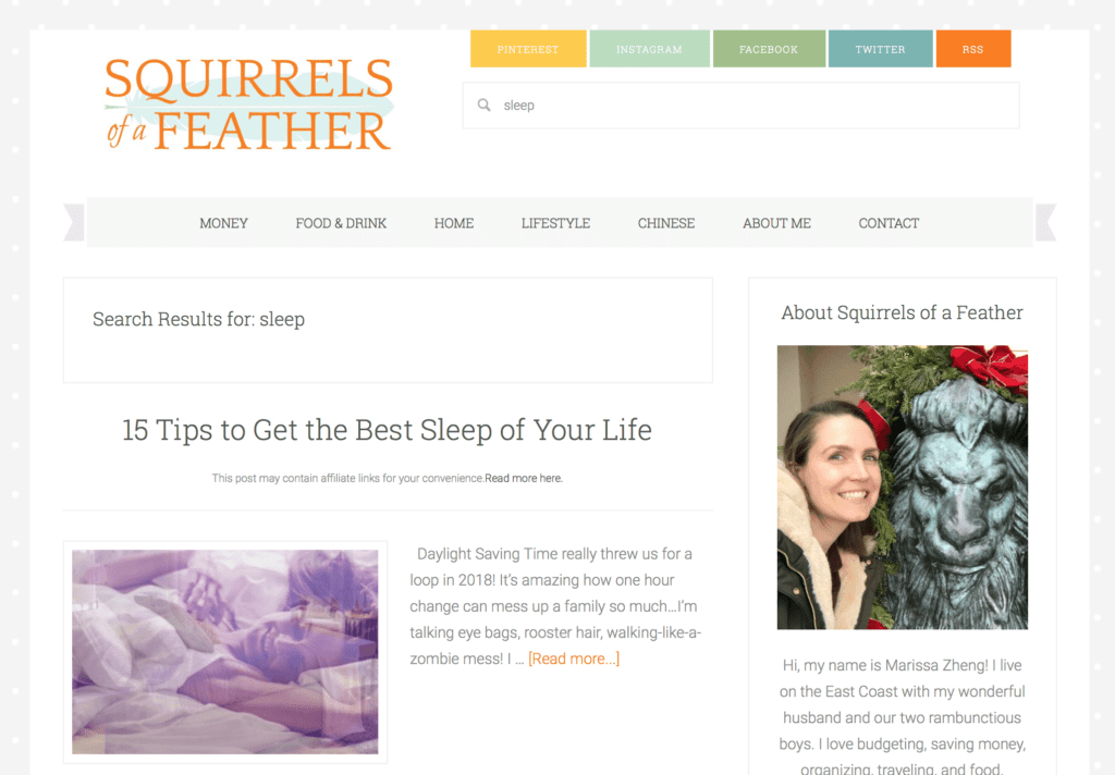 A screenshot of the Squirrels of a Feather blog