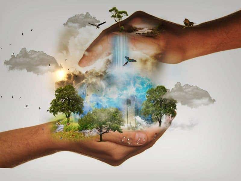 Hands holding the Earth