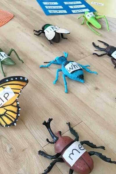 Plastic bugs with words written on them