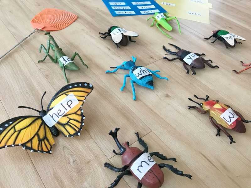 Plastic bugs with words written on them