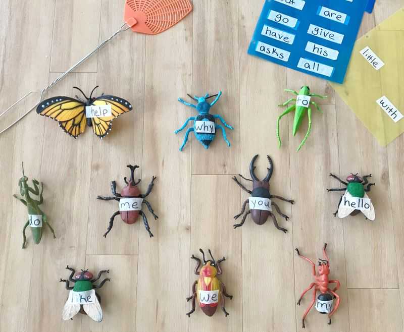 Bugs with words taped to them and a fly swatter