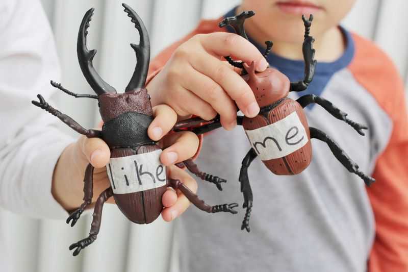 Two children holding large plastic bugs