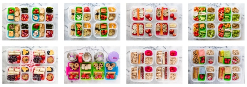 A huge collection of lunch box meal prep recipes