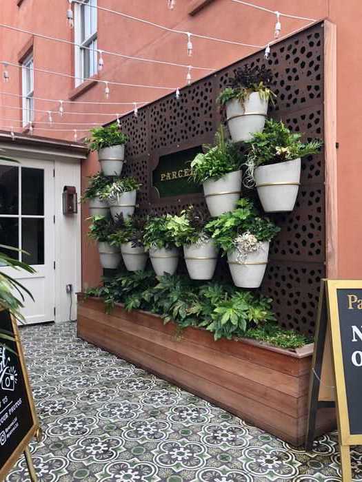 A beautiful wall of plants in Charleston, SC