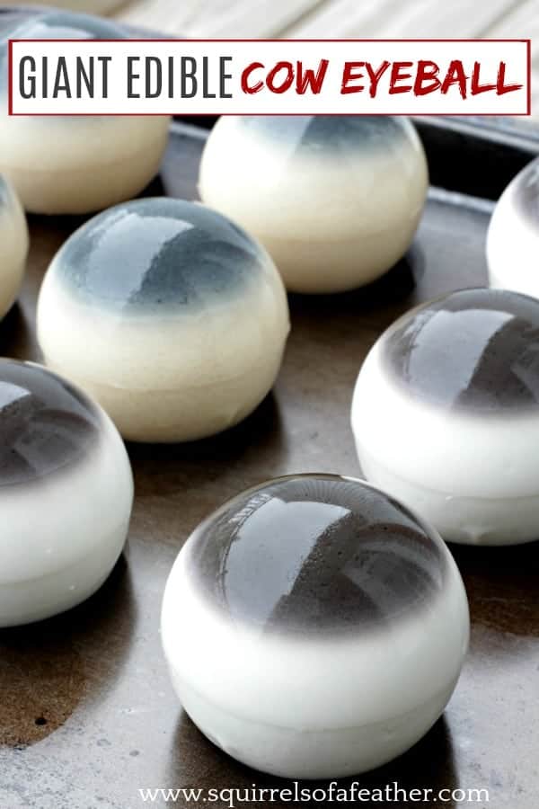 edible eyeballs edible eyeballs