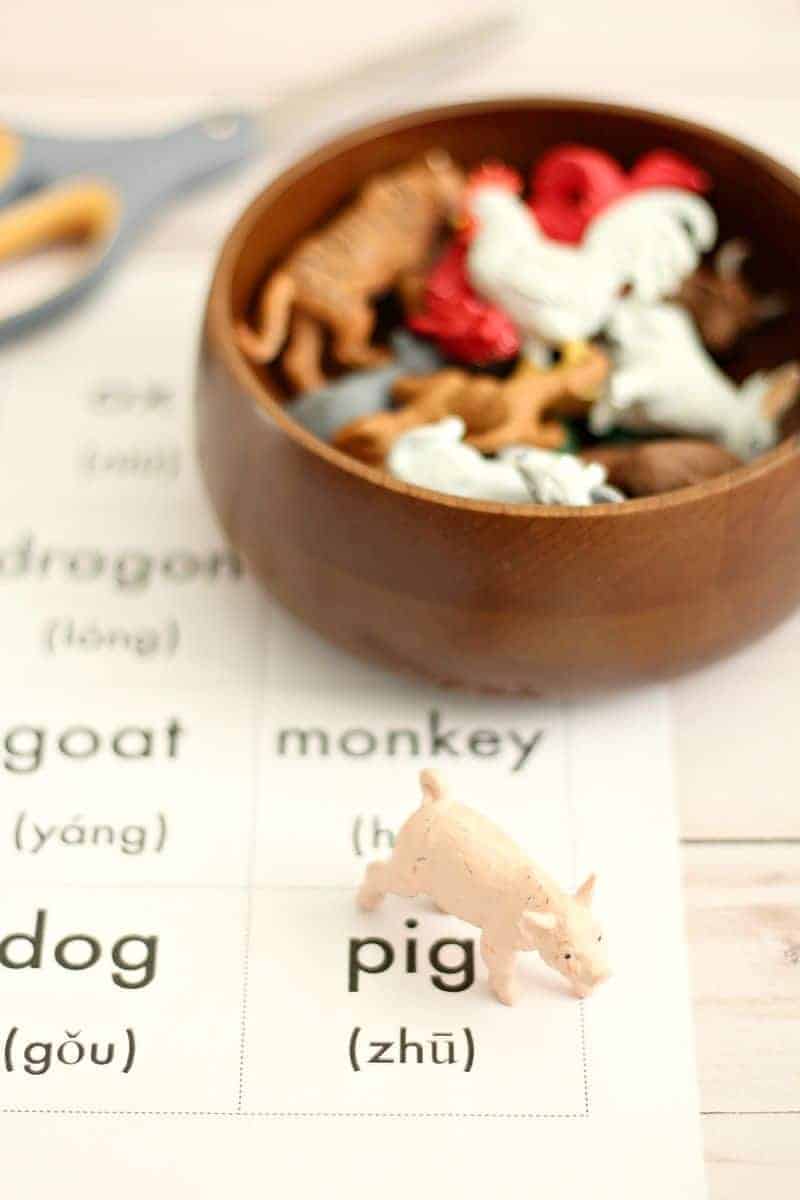 Chinese New Year activity with pig