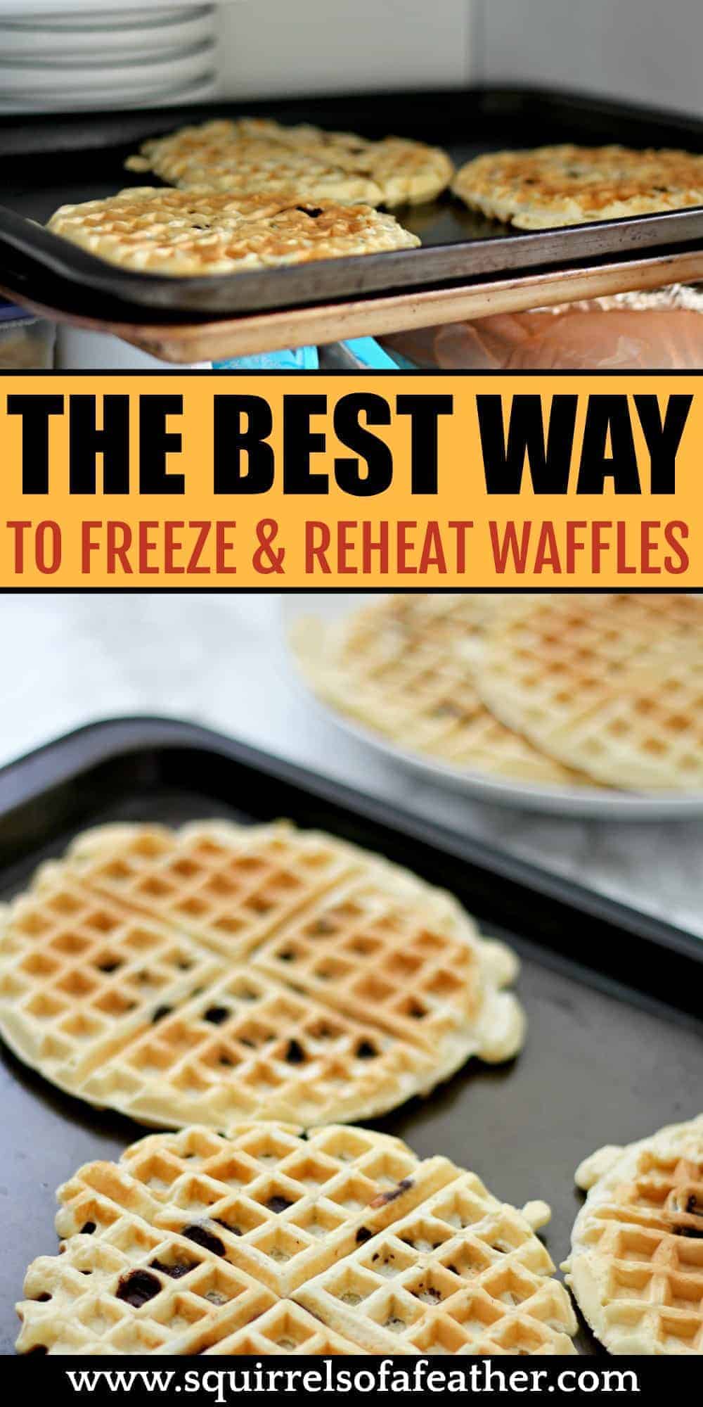 Frozen waffles on a tray