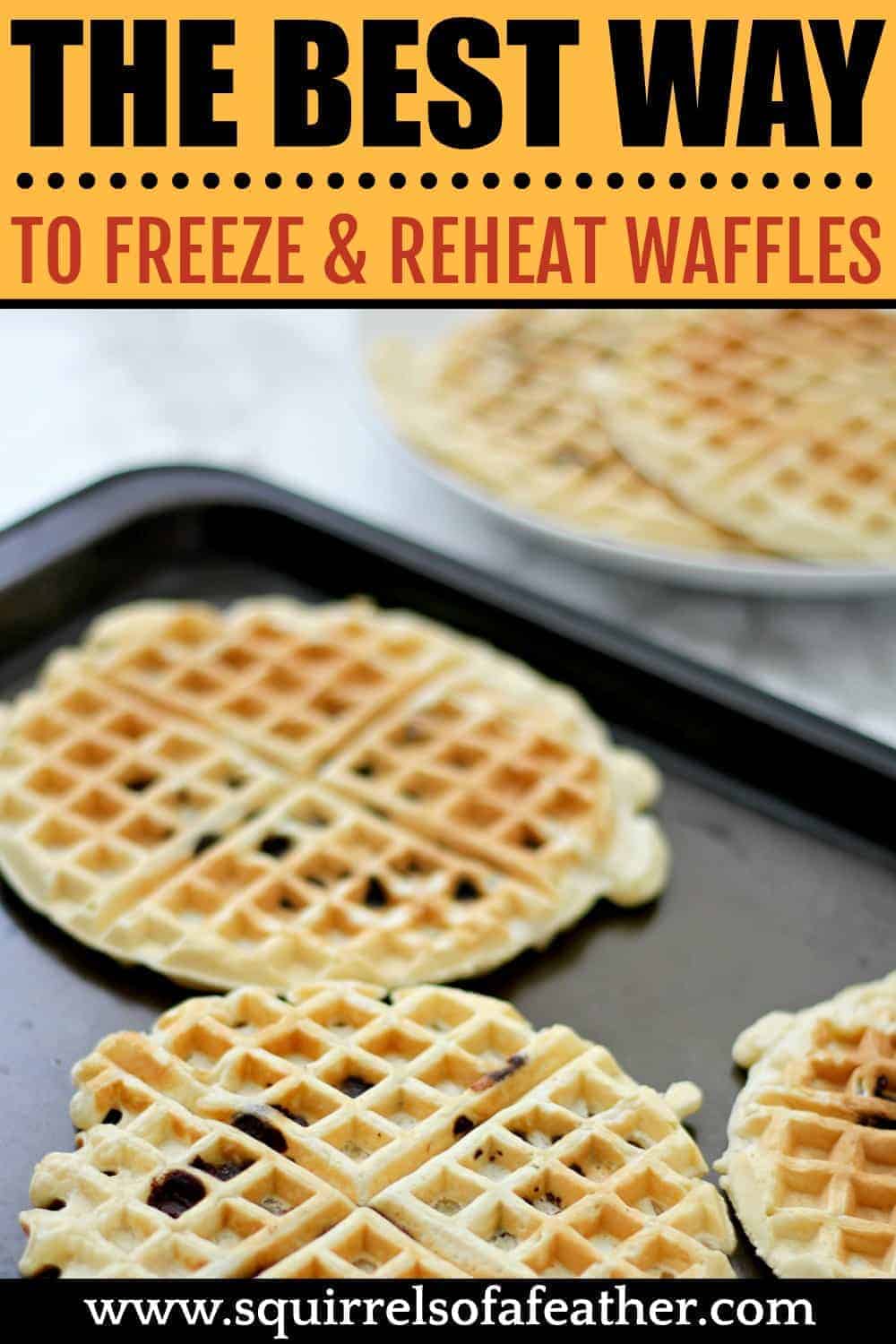 Freezing Waffles 101 How to Freeze and Reheat Waffles (the Easy Way)