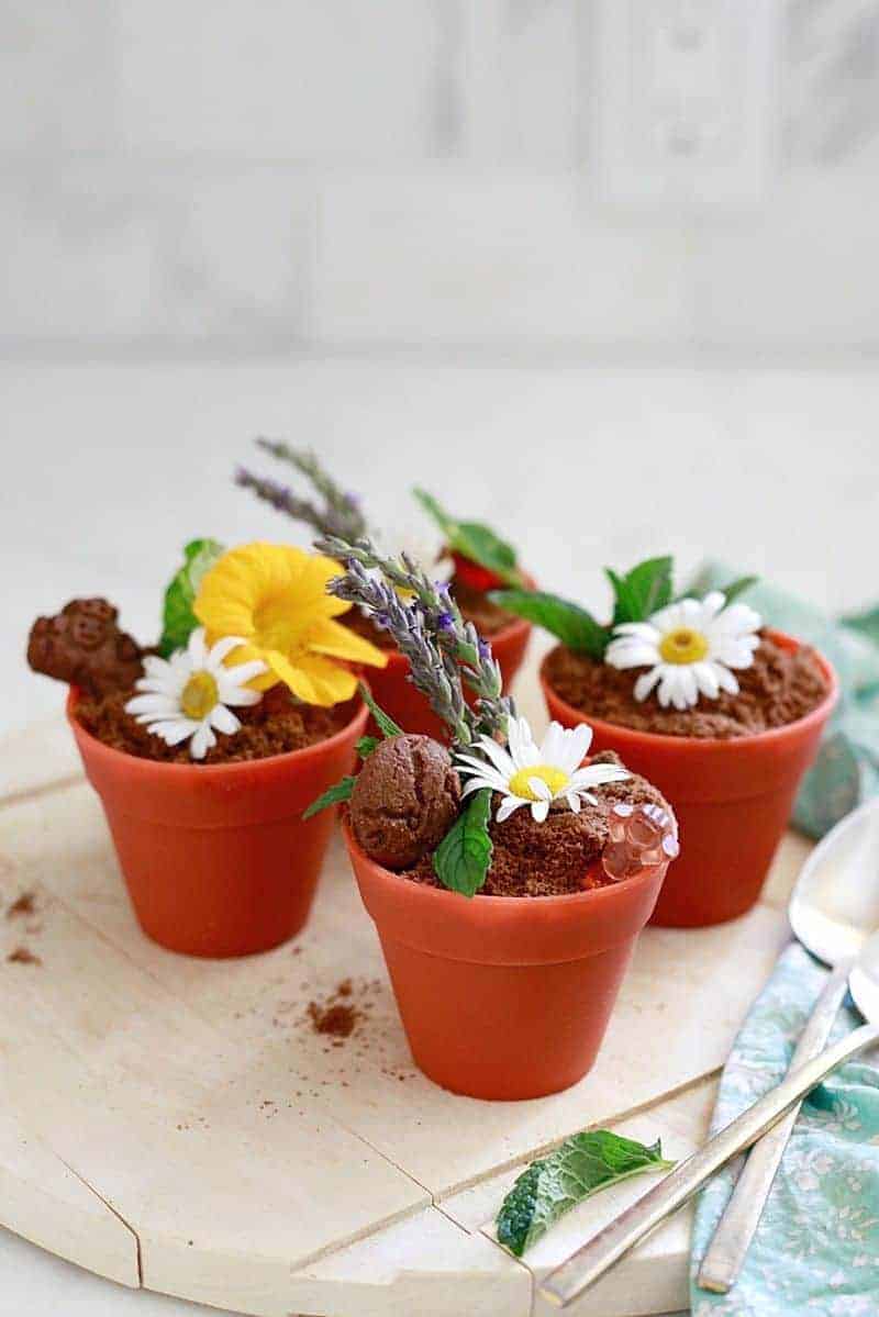 Earth Day dirt cup recipe