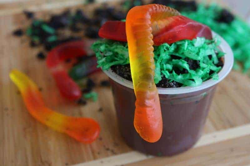 Earth Day dirt cups with worms