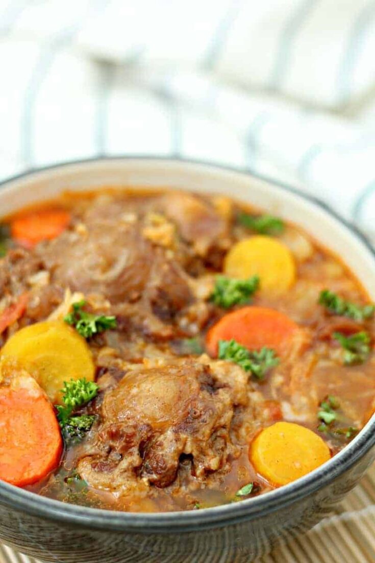 Hawaiian Oxtail Soup Recipe Instant Pot | Dandk Organizer