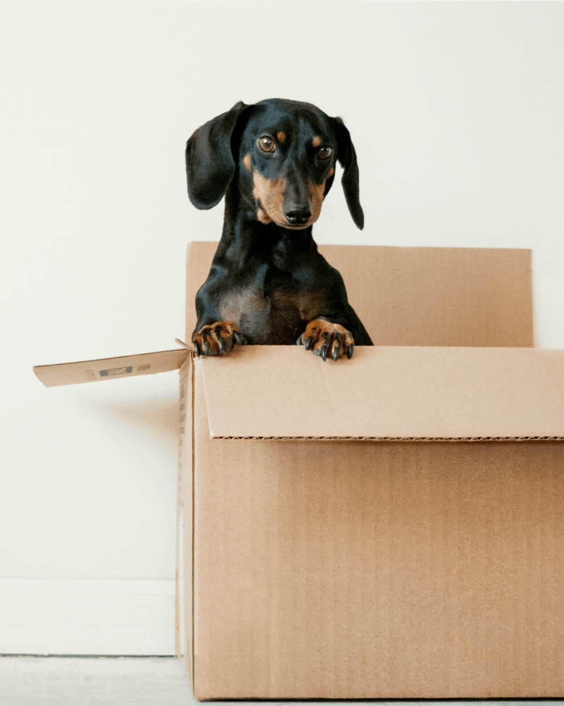 Top 10 Places to Find FREE Shipping Supplies Save Big Money Top 10 Places to Find FREE Shipping Supplies Save Big Money