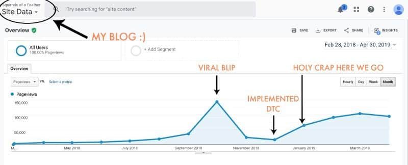 Pageviews for a lifestyle blog