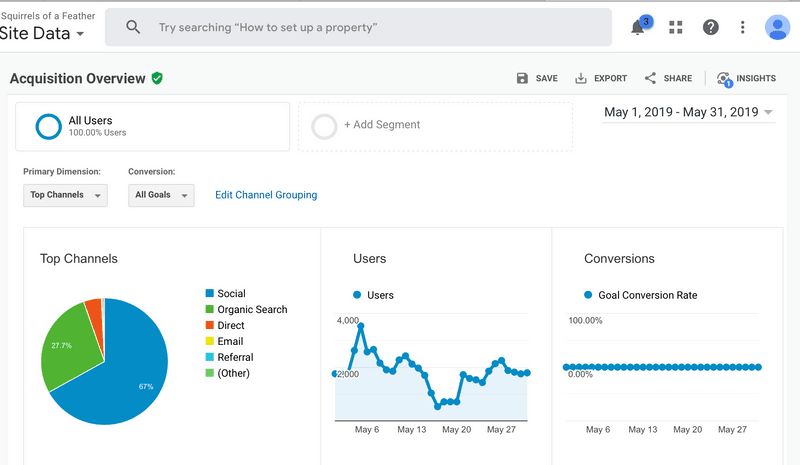 Organic traffic growth of lifestyle blog