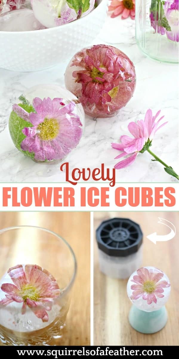 Put Edible Flowers in Ice Cubes for Perfectly InstaWorthy Drinks