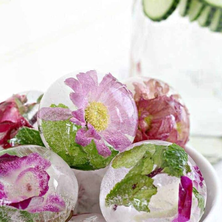 Close up of pretty flowers in ice cubes