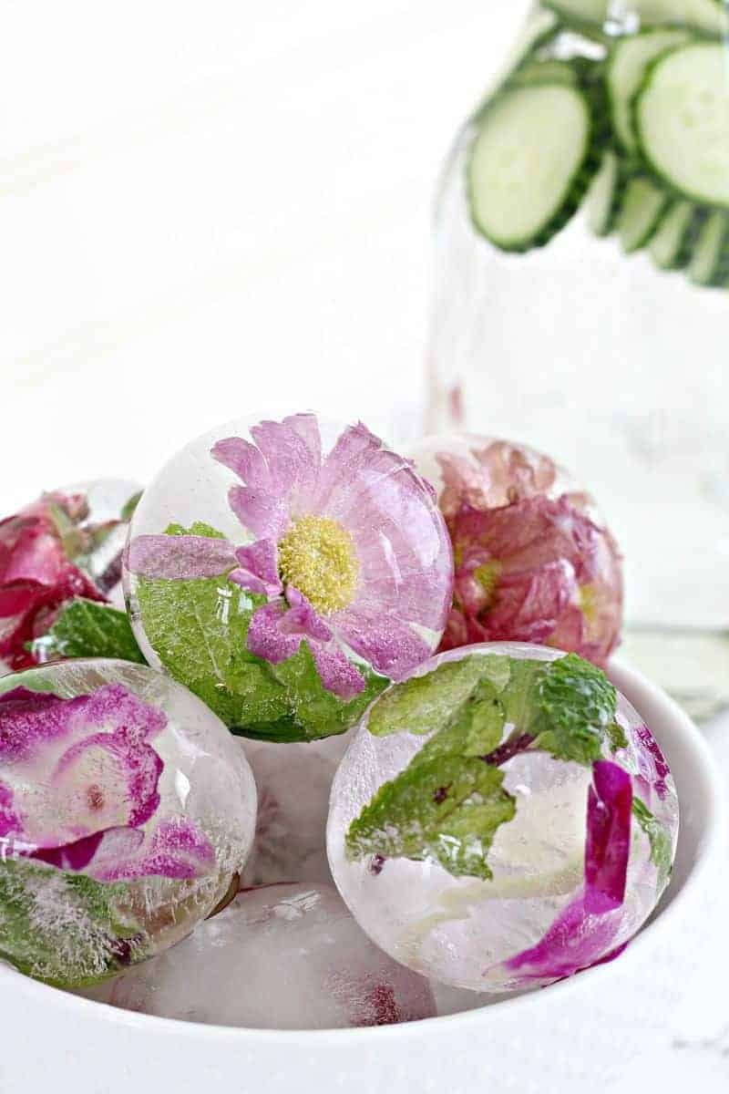 Close up of pretty flowers in ice cubes