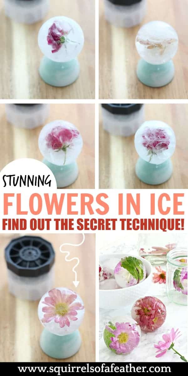 Infographic showing how to freeze flowers in ice