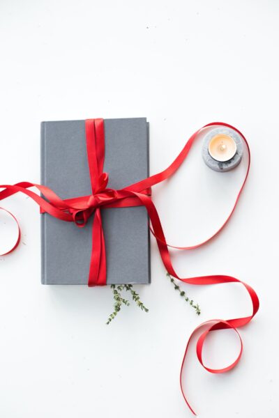 A blue book tied with a red Christmas ribbon