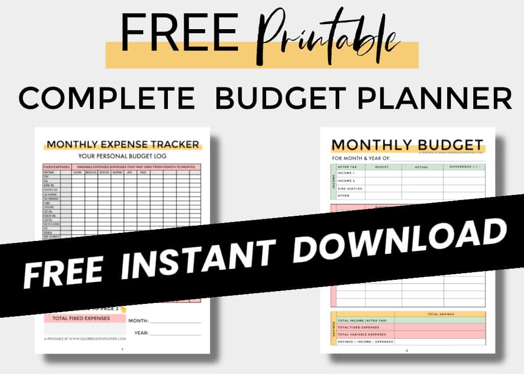 download-this-free-printable-budget-planner-for-2021-pdf